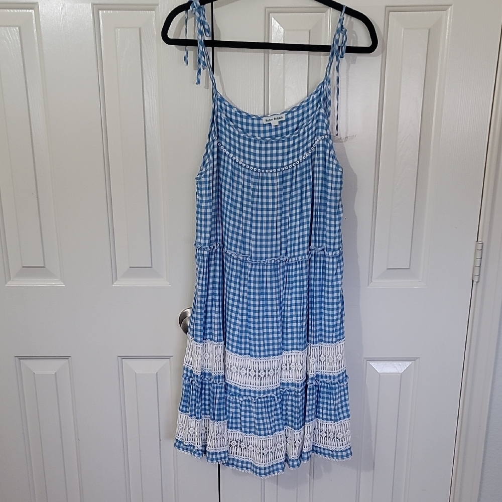 Roller Rabbit Blue and White Checkered Dress
